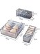 EasyLife Closet Underwear Organizer