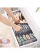 EasyLife Closet Underwear Organizer