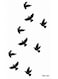 Generic Birds Temporary Tattoo Sticker For Body Art