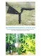 Generic 4 Pieces RGB Solar Lights Outdoor LED Ground Lawn Lamp Waterproof Outdoor Lights Landscape Spotlights Garden Decoration