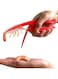 Generic Universal Plastic Portable Prawn Peeler Shrimp Peel Device Convenient Useful Kitchen Gadgets