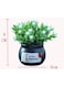 Generic Mini Flower Pot For Car Dashboard Tabletop Decoration Ornament