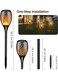 Generic Solar Garden Stake LED Outdoor Torch Fire Lantern