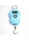 Generic Digital Hanging Portable Electronic Scale