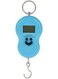 Generic Digital Hanging Portable Electronic Scale