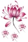 Generic 3D temporary tattoos Arm flower waterproof female body art
