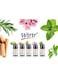 Generic 5 Pieces 10ml Bottles Of Scented Essential Oils For Air Humidifier Revitalizer