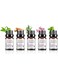 Generic 5 Pieces 10ml Bottles Of Scented Essential Oils For Air Humidifier Revitalizer
