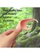 Generic 2 Pair Halloween Elf Ears Fake Vampire Fangs Avatar Fairy Cosplay Props Party Costume Accessories, Skin Color Long Style 12Cm
