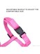 Generic Adjustable Nylon Pet Cat Puppy Harness With Lead Leash Strap Belt Safety Rope