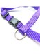 Generic Adjustable Nylon Pet Cat Puppy Harness With Lead Leash Strap Belt Safety Rope