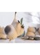 Generic Capybara Large Cavy Stress Relief Squishy Toy - Animal-Shaped Venting And Decompression Toy, Kids' Toy, Interactive Toy