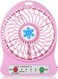 Generic Portable USB Rechargeable LED Fan Air Cooler Mini Operated Desk Battery Optional