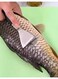 Generic Stainless Steel Fish Scaler Remover, Seafood Tool, Kitchen Gadget, Manual Fish Scale Scraper