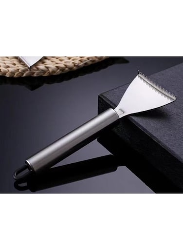 Generic Stainless Steel Fish Scaler Remover, Seafood Tool, Kitchen Gadget, Manual Fish Scale Scraper