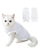 NeoStyle Cat Recovery Suit,Pet Professional Recovery Suit for Abdominal Wounds or Skin Diseases,After Surgery Wear,E-Collar Alternative for Cats (L, Blue stripe)