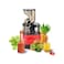 Compact Low-Speed Masticating Cold Press Juicer for Fresh Fruit and Vegetable Nutrients