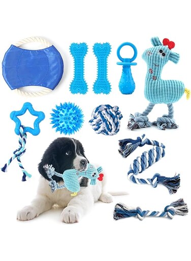 Hcpet 10Pcs Dog Chew Toys Set, Dog Interactive Toys, Light-Up Bouncing Ball, Squeaky Plush Toy, Ropes Toys and Cotton Rope Frisbee to Entertain Your Dog the Whole Day, Wonderful Gifts for Dogs
