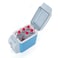 BY-275 Vehicle Quick Cooling Refrigerator Portable Mini Cooler and Warmer 7.5L Refrigerator, Voltage: DC 12V