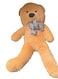 Brown Teddy Bear Style with Ribbon 60cm 0.8kg