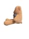 Brown Teddy Bear Style with Ribbon 60cm 0.8kg