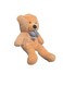 Brown Teddy Bear Style with Ribbon 60cm 0.8kg