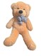 Brown Teddy Bear Style with Ribbon 60cm 0.8kg