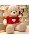 Dark Brown Plush Teddy Bear with Heart Design Sweater 80cm, 1.5kg