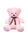 Assorted Teddy Bear Style with Ribbon 60cm 0.8kg