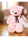 Pink Teddy Bear Style with Ribbon 60cm 0.8kg