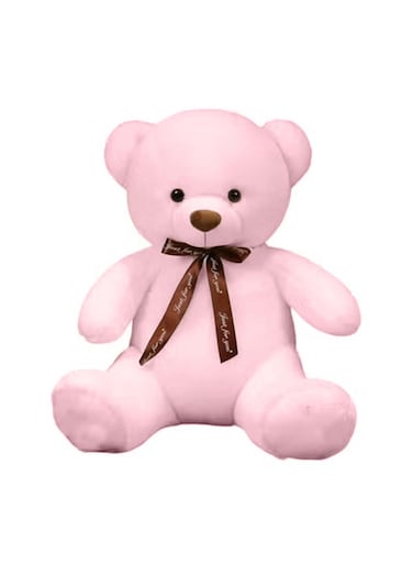 Pink Teddy Bear Style with Ribbon 60cm 0.8kg