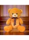 OrangeTeddy Bear Style with Ribbon 60cm 0.8kg