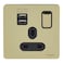 Schneider Electric Ultimate Screwless Flat Plate - 13A Double Pole Switched Single Power Socket with 2.1 A USB Charging Ports, Polished Brass with Black Insert -GGBGU34102USBABPB