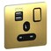 Schneider Electric Ultimate Screwless Flat Plate - 13A Double Pole Switched Single Power Socket with 2.1 A USB Charging Ports, Antique Brass with Black Insert -GGBGU34102USBABAB