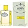 Prada Les Infusions D'Ylang EDP 100ml