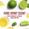 Old Spice High Endurance Anti-Perspirant &amp; Deodorant, Pure Sport 3 Oz (Pack of 5)