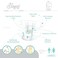 Sleepy Hypoallergenic 84 Adult Diapers, Size - L, Unisex Diapers for Sensitive Skin, Odour Control Diapers Wetness Comfortable &amp; Adjustable, 100-150cm 6x14