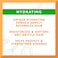 Cantu Avocado Hydrating Silicone-Free Conditioner With Pure Shea Butter, 13.5 Fl Oz (Pack Of 2) (Packaging May Vary)