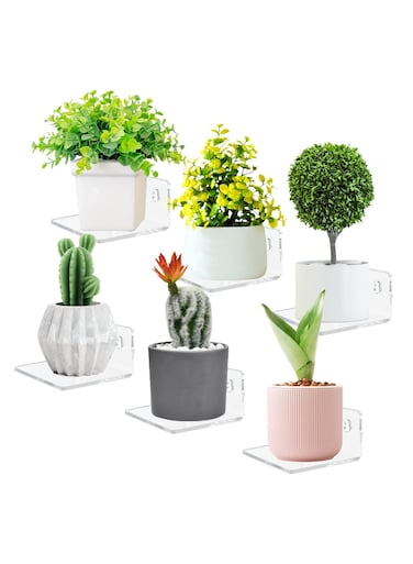 Acrylic Small Floating Shelves for Wall, 6-Ledges, Clear Mini Display Floating Shelf, Flexible Use with Adhesive or Screw