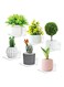 Acrylic Small Floating Shelves for Wall, 6-Ledges, Clear Mini Display Floating Shelf, Flexible Use with Adhesive or Screw