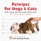 Petkin Pet Wipes Big 'N Thick Extra Large Pet Wipes For Dogs, Cats, Puppies &amp; Kittens - Aloe Enriched Formula Gently Cleans The Face, Ears, Body &amp; Eye Area - Wipes For Pets For Home Or Travel, 1 Pack