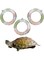 Inflatable Small Animal Floaties - 3 Pack Swimming Ring Rest Dock for Turtle, Tortoise, Terrapins, Frog, Reptile