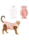 NALACAL 2 Pcs Recovery Suit, Professional Dog Cat Surgery Recovery Shirt, Cat Surgery Recovery Suit, for Male and Female Cats, Cat Onesie for Cats After Neuter Surger, Anti Licking Wounds Clothes (M)