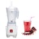 3 in 1 Juicer Blender Mixer Grinder &ndash; 1L Jar, Dry &amp; Wet Grinder Attachments, Stainless Steel Blades, 250W Motor &ndash; Ice Crusher for Smoothies, Spices, Shakes, Nuts