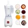 3 in 1 Juicer Blender Mixer Grinder &ndash; 1L Jar, Dry &amp; Wet Grinder Attachments, Stainless Steel Blades, 250W Motor &ndash; Ice Crusher for Smoothies, Spices, Shakes, Nuts