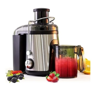 Vantix Juice Extractor Stainless Steel Juicer with 2 Speeds, Whole Fruit Juice Extractor with Stainless Steel Body &amp; Mesh Strainer for Fruits and Vegetables