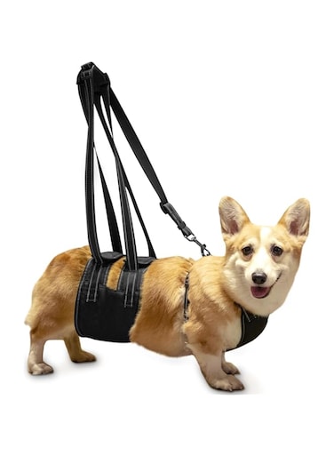 Ownpets Dog Support Harness Set, Support &amp; Rehabilitation Sling with Adjustable Chest Strap,Assisted Strap &amp; Hauling Cable,For Aged Dogs,Disable Dogs &amp; Dogs Needing Help with Mobility or Balance (M)