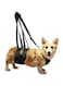 Ownpets Dog Support Harness Set, Support &amp; Rehabilitation Sling with Adjustable Chest Strap,Assisted Strap &amp; Hauling Cable,For Aged Dogs,Disable Dogs &amp; Dogs Needing Help with Mobility or Balance (M)