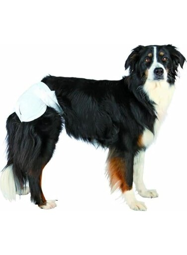Trixie Dog Diapers Medium