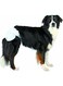 Trixie Dog Diapers Medium